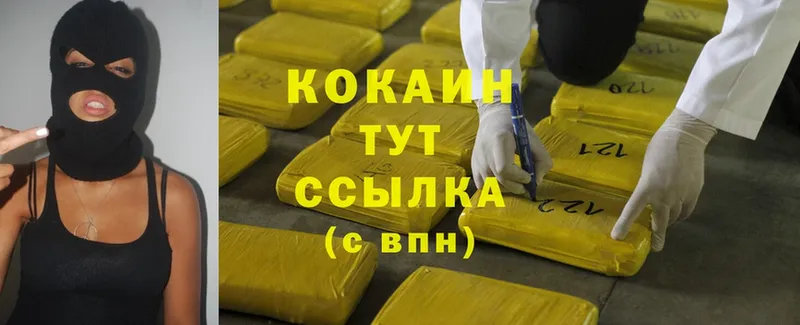 Cocaine Fish Scale  кракен зеркало  Волгореченск 