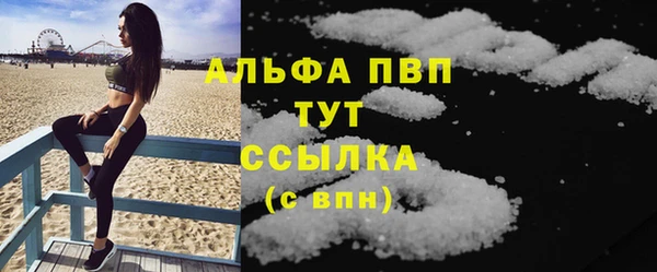 индика Белокуриха