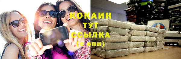 индика Белокуриха