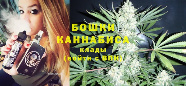 spice Богданович