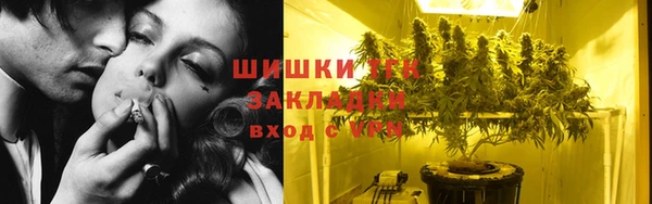 соль ск Богородицк
