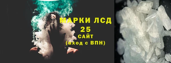 spice Богданович