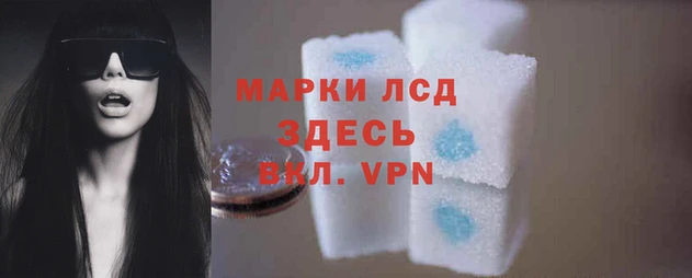 индика Белокуриха