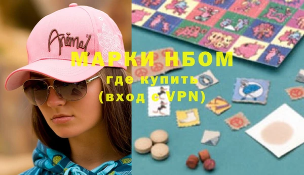 индика Белокуриха