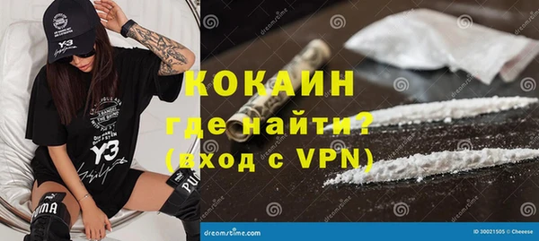 индика Белокуриха