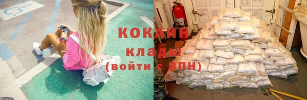 spice Богданович