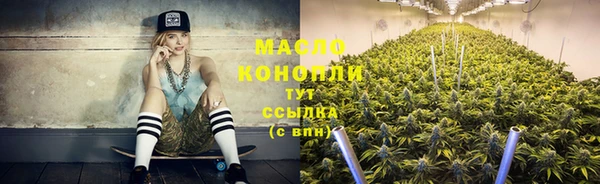 индика Белокуриха