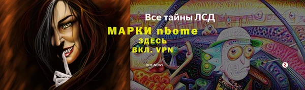 прущая мука Вяземский